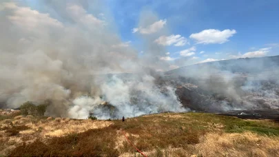 Kocaeli'de ot yangını; ekipler müdahale ediyor