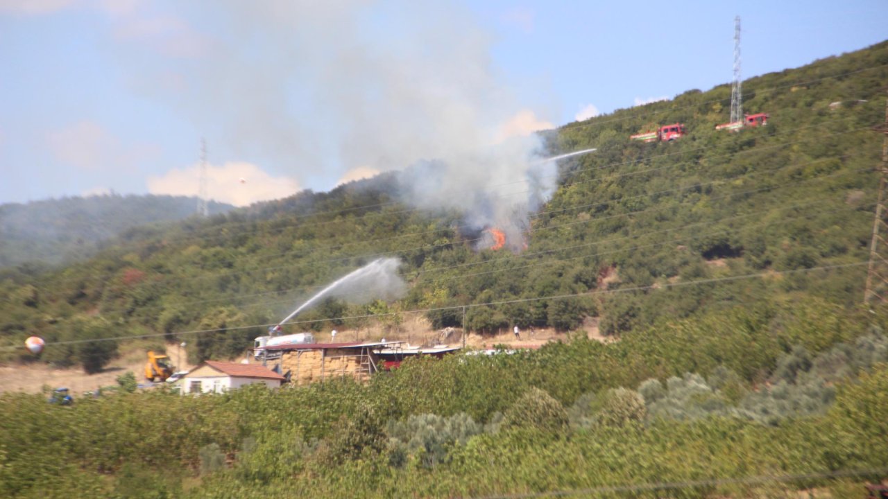 Kocaeli'de ot yangını