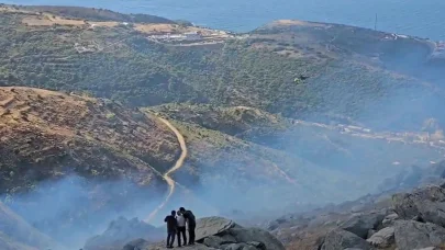 Marmara Adası'ndaki orman yangınına müdahale sürüyor