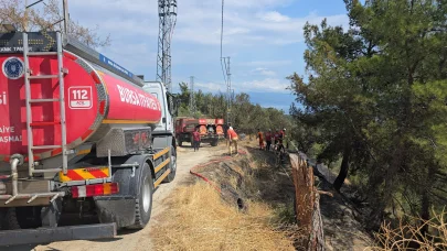 Mudanya'da 1 dönüm orman yandı