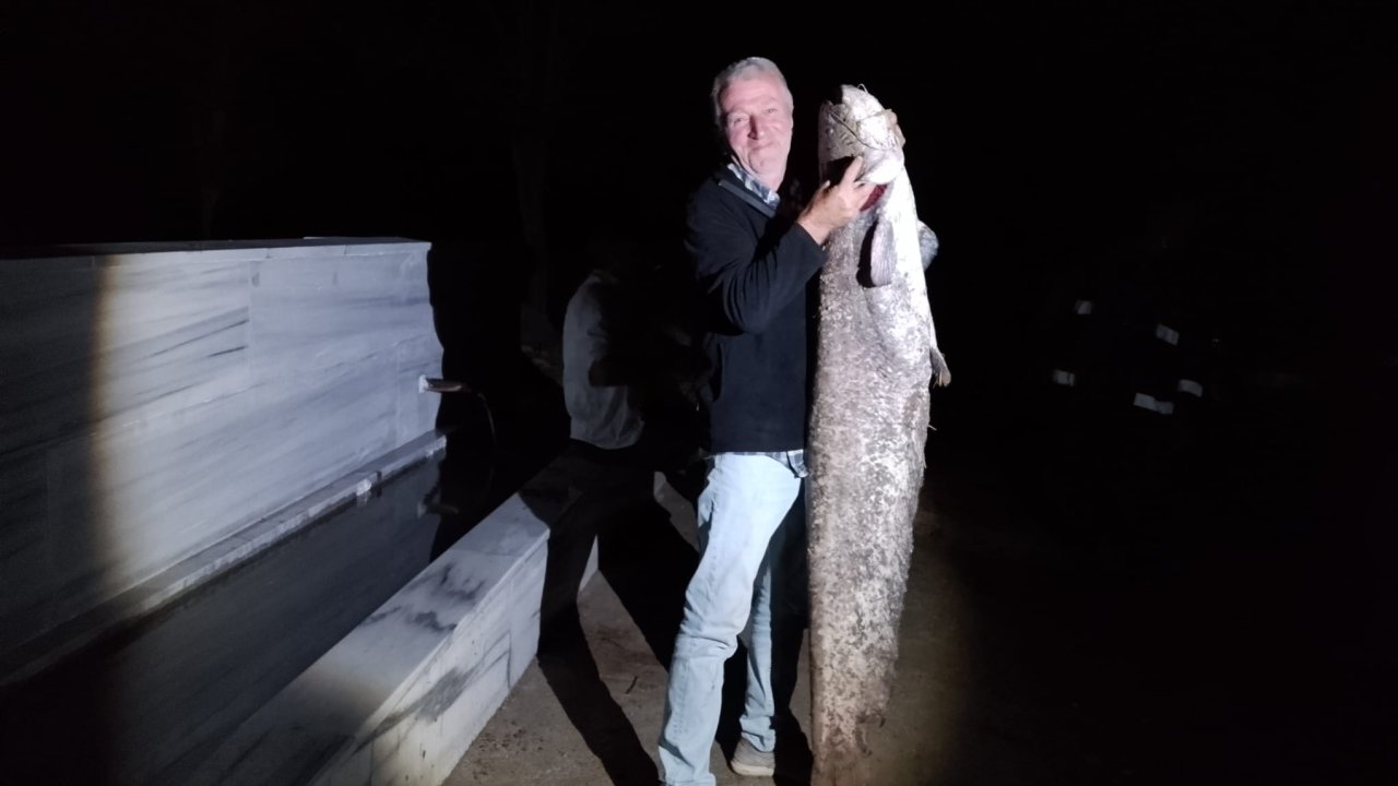 Oltasına 40 kiloluk yayın balığı takıldı