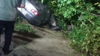 Otomobil ağaçlık alana devrildi: 3 yaralı