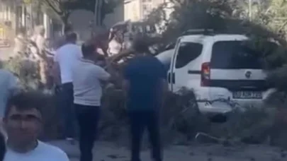 Rüzgar nedeniyle devrilen ağaç, hafif ticari aracın üzerine düştü