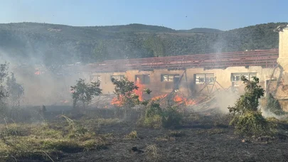 Rüzgarın etkisiyle kopan elektrik telleri yangına neden oldu