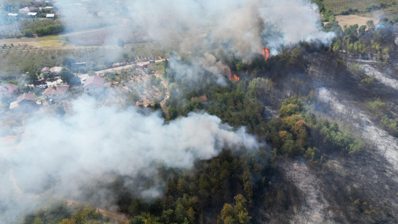 Sakarya'da orman yangını