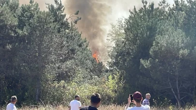Sakarya'da orman yangını