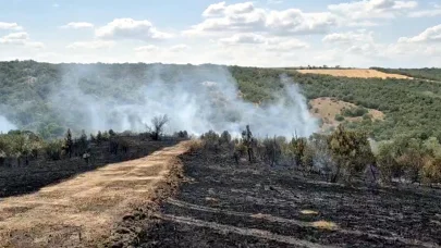 Tekirdağ'da çıkan orman yangını, 1 saatte kontrol altına alındı