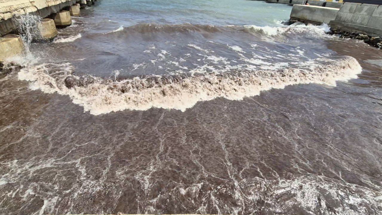 Tekirdağ’da deniz, kızıl yosunlar nedeniyle kırmızı renge büründü