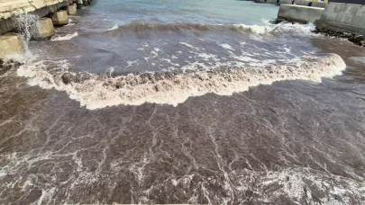 Tekirdağ’da deniz, kızıl yosunlar nedeniyle kırmızı renge büründü