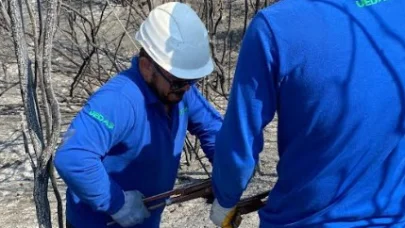 UEDAŞ, orman yangınlarından etkilenen bölgelerdeki enerji hatlarını onarıyor