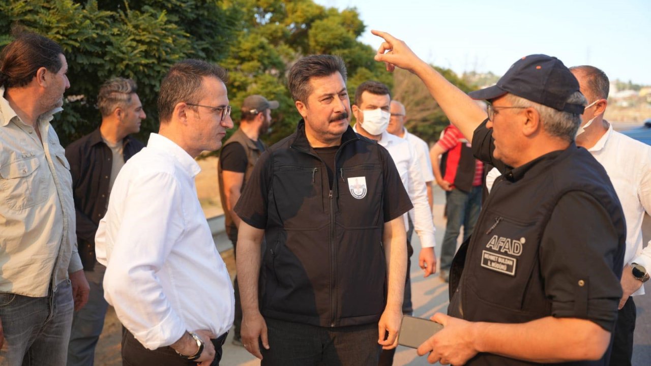 Yenişehir’de 100 hektarlık alan yandı