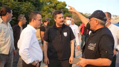Yenişehir’de 100 hektarlık alan yandı