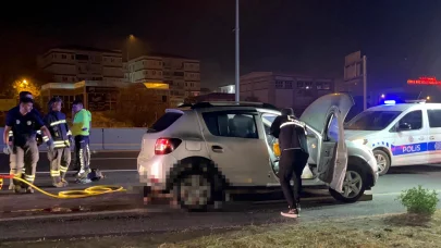 Yol ortasına otururken otomobil çarptı; kurtarılamadı