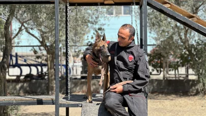 'Afet ve acil kurtarma' köpekleri göreve hazır
