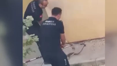 Bahçede görülen yılanı, itfaiye ekiplerinin yakalama anı kamerada
