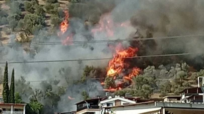 Balıkesir'deki yangın 5 saatte söndürüldü
