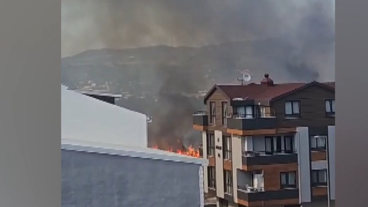 Bursa’da çamlık yangını; yerleşim yerlerine sıçramadan söndürüldü