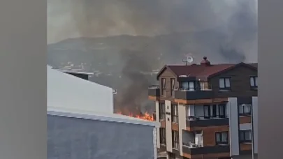 Bursa’da çamlık yangını; yerleşim yerlerine sıçramadan söndürüldü