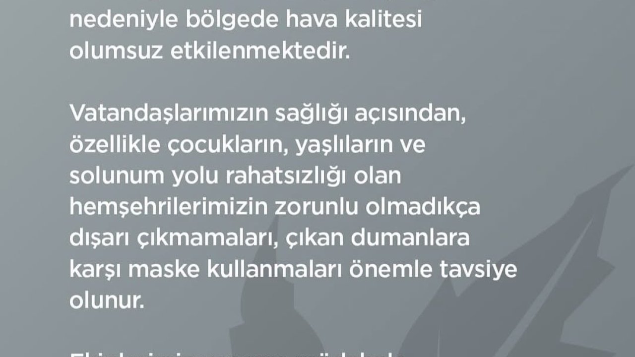 Bursa’da orman yangını