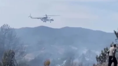 Bursa’da orman yangını