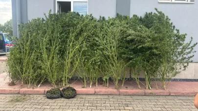 Bursa’da uyuşturucu operasyonu: 2 gözaltı