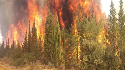 Çanakkale'de orman yangınlarına karşı yeni tedbirler alındı