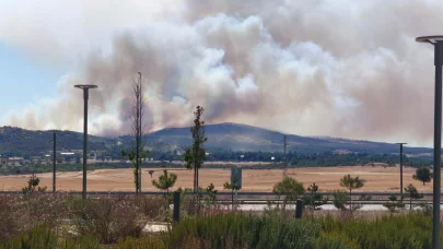 Çanakkale'de tarım arazisindeki yangın ormana sıçradı