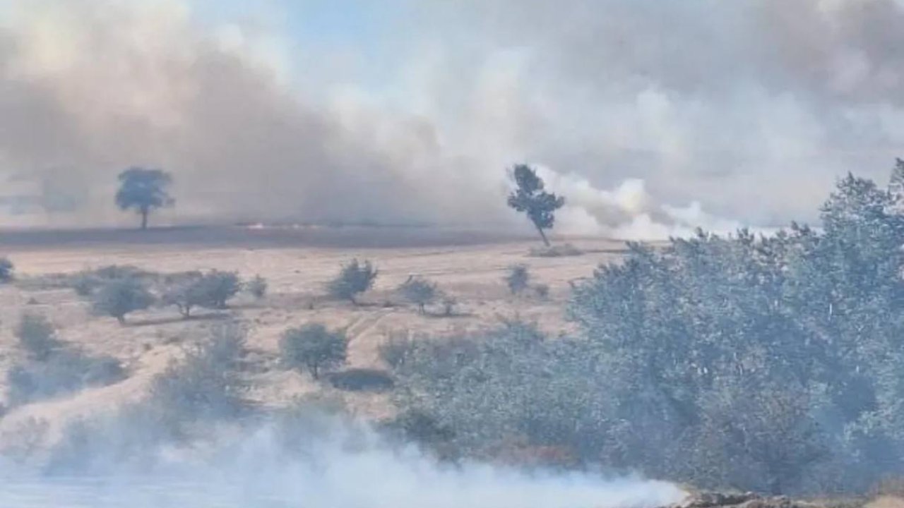 Edirne’de buğday tarlasından ağaçlara sıçrayan yangın söndürüldü