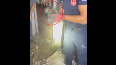 Giderde mahsur kalan yavru kediyi itfaiye kurtardı