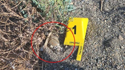 İznik Gölü sahilinde bulunan el bombası imha edildi