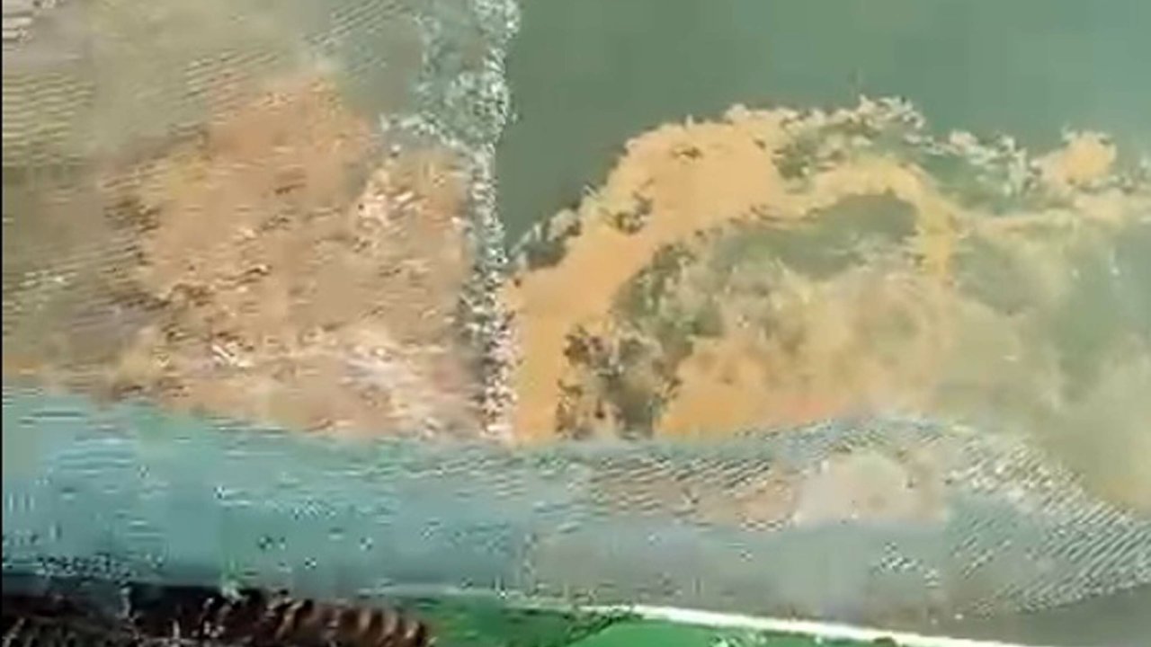 Marmara Denizi'nde müsilaj tehdidi