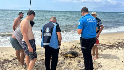 Yaralı caretta caretta tedaviye alındı