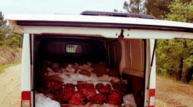 60 Bin TL Değerinde Kaçak Midye Ele Geçirildi