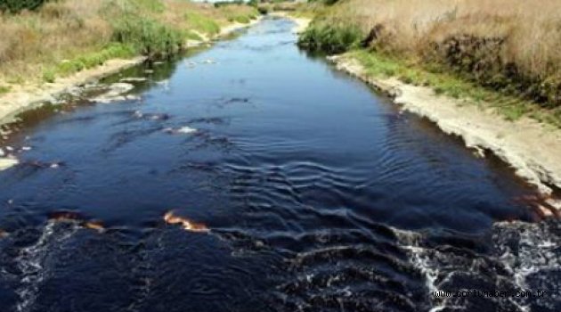 Ergene Nehri'ni kirleten fabrikaları sordu