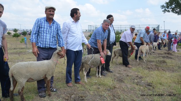 Ergene'de 15 Temmuz Şehitleri için Kurban Kesildi