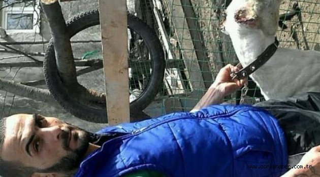 Evinde tüfek vurularak öldürülmüş halde bulundu.