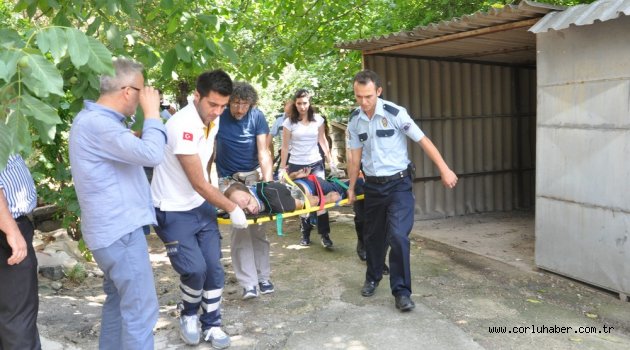6. Kattan Atlarken Saniye Saniye Görüntülendi
