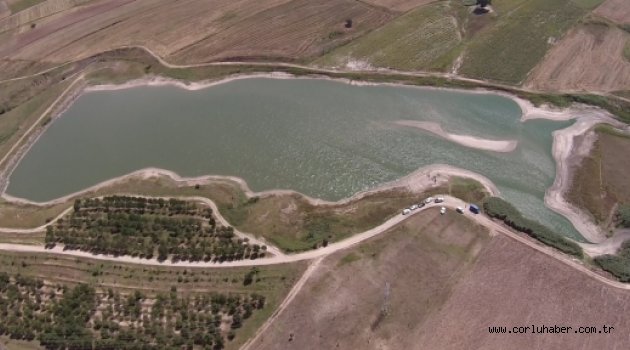 Sulama Göletinde Binlerce Ölü Balık Kıyıya Vurdu