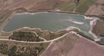 Sulama Göletinde Binlerce Ölü Balık Kıyıya Vurdu