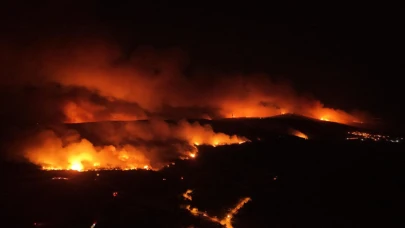 Yanmayan Orman Kalmadı, Akıllanmayacak mıyız?