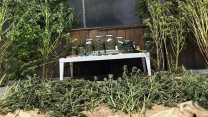 Bursa’da 9 kilo 400 gram esrar ele geçirildi; 1 gözaltı