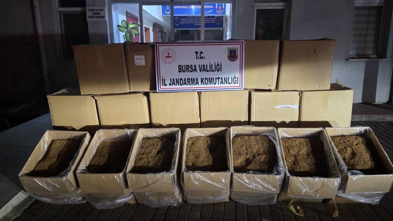 Bursa’da kaçak tütün operasyonu; 2 gözaltı