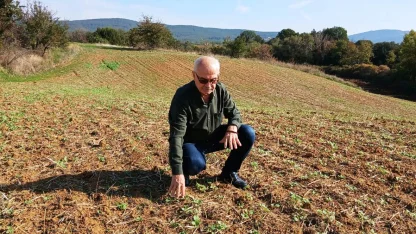 Edirne’de kanola ekilişleri başladı
