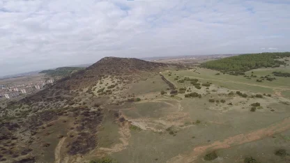 Edirne'de yangında zarar gören orman alanı ağaçlandırılacak