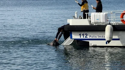 Erdek’te denizde ceset bulundu