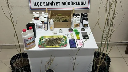 Evlerine kurdukları sistemle kenevir yetiştirip uyuşturucu üreten 5 şüpheli gözaltında