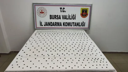 İznik’te Bizans ve Roma dönemine ait 437 sikke ele geçirildi: 1 gözaltı