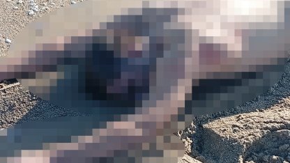 Karasu'da kumsalda çıplak erkek cesedi bulundu