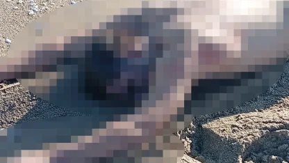 Karasu'da kumsalda çıplak erkek cesedi bulundu