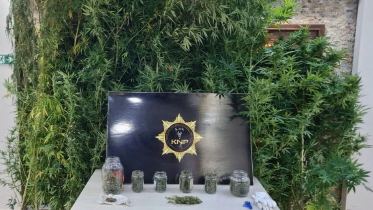 Kırklareli&#039;de uyuşturucu yetiştirilen eve operasyonda 1 tutuklama